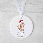 Personalized Platypus Christmas Ornament - Baby's First Christmas Keepsake - Christmas Bauble Gift